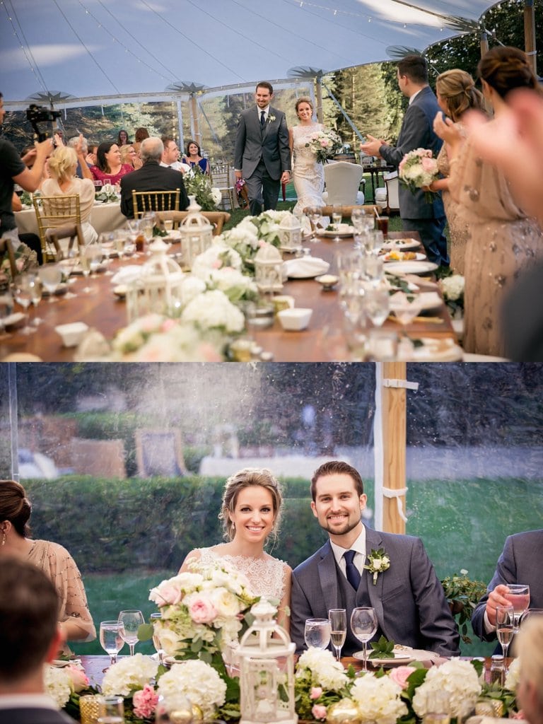 Michigan Wedding Planner, Detroit Wedding Planner, Ann Arbor Wedding Planner, Novi Wedding planner, Bloomfield Hills Wedding Planner, Battlecreek Wedding, Greencrest Manor Wedding